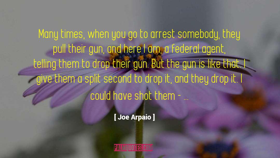 Arbitrary Arrest quotes by Joe Arpaio