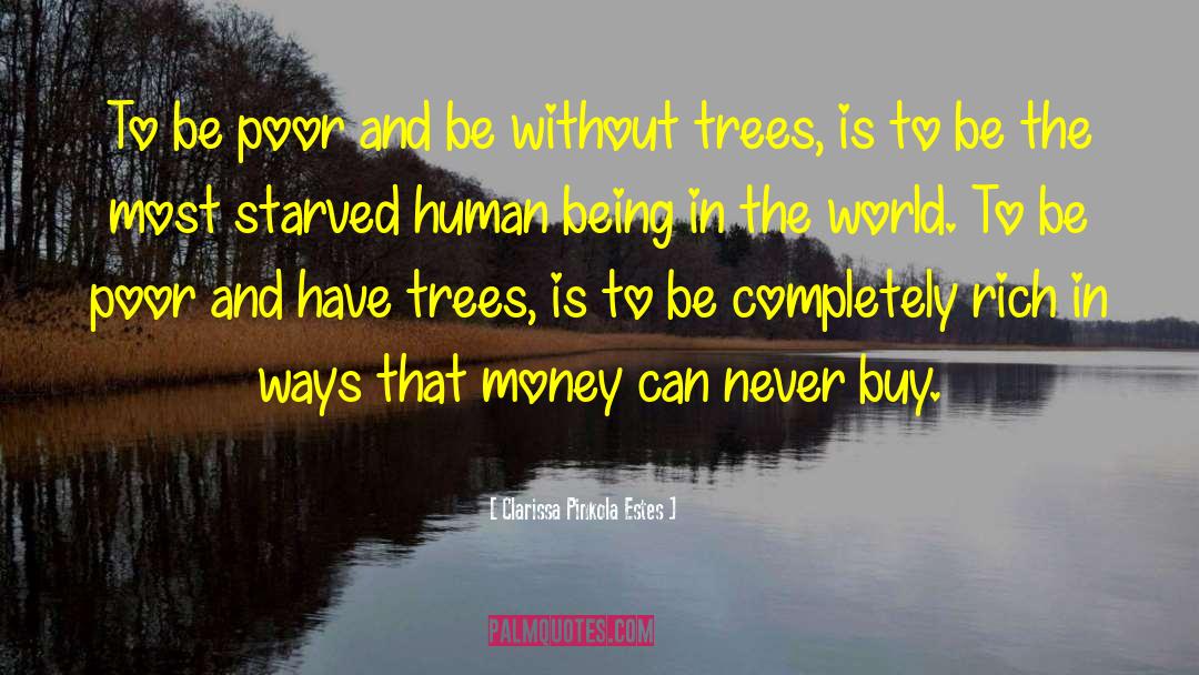 Arbor Day quotes by Clarissa Pinkola Estes