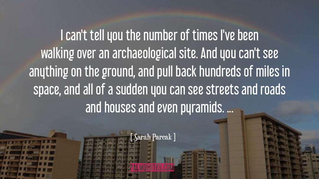 Archaeological Theft quotes by Sarah Parcak