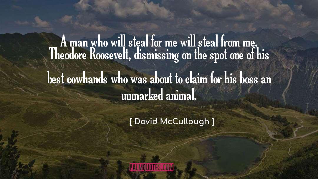 Archaeological Theft quotes by David McCullough