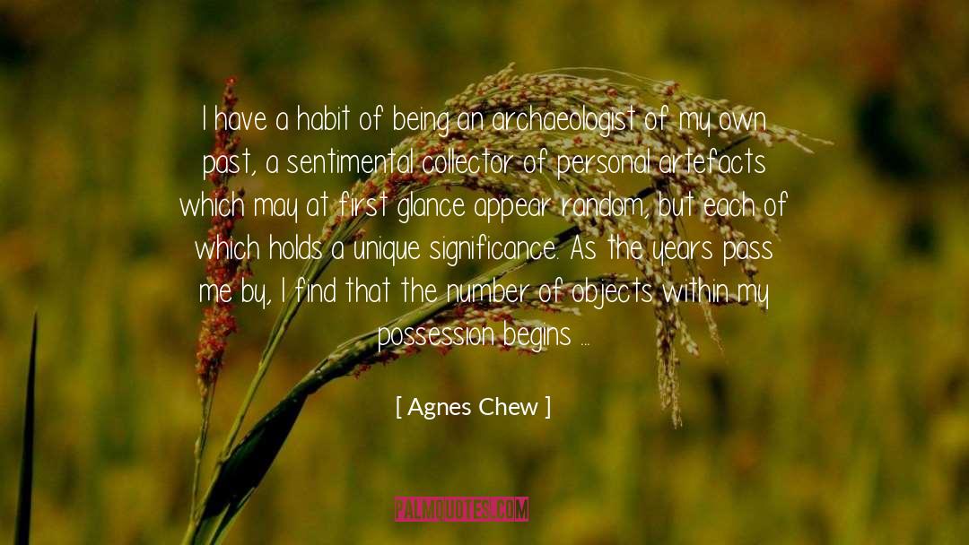 Archaeologist quotes by Agnes Chew