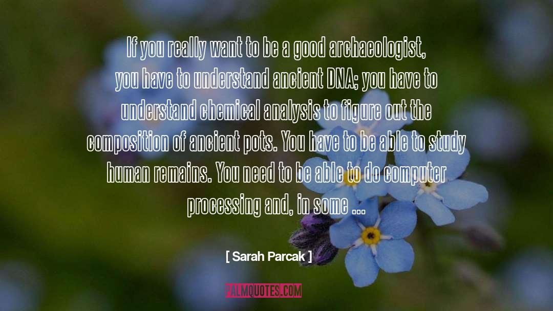 Archaeologist quotes by Sarah Parcak