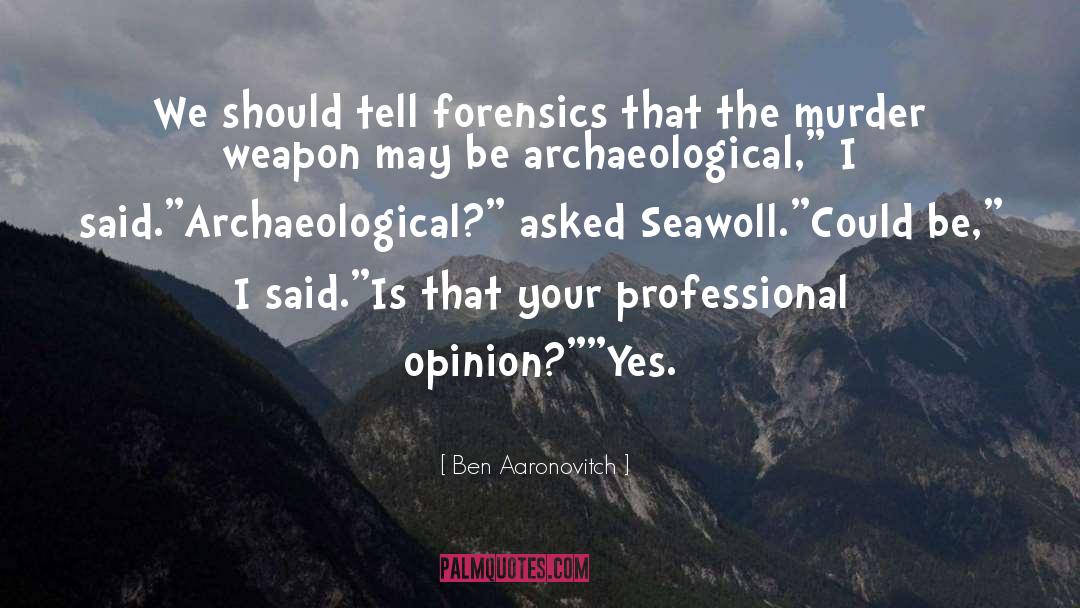 Archaeology quotes by Ben Aaronovitch