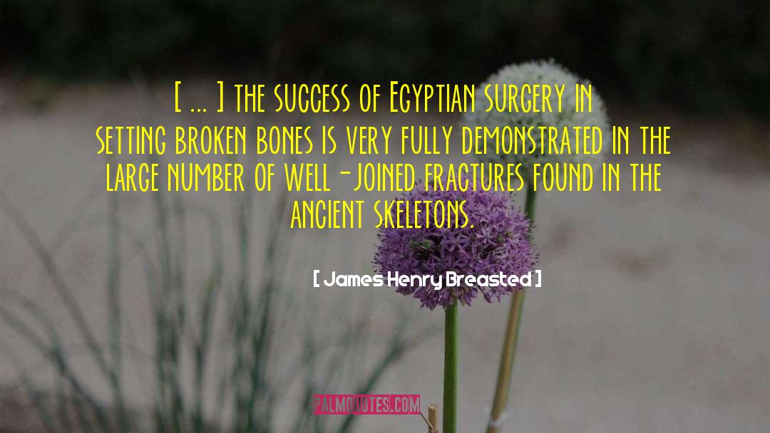 Archaeology quotes by James Henry Breasted