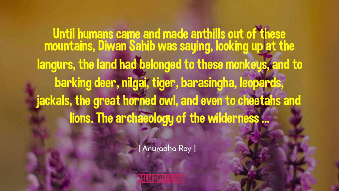 Archaeology quotes by Anuradha Roy