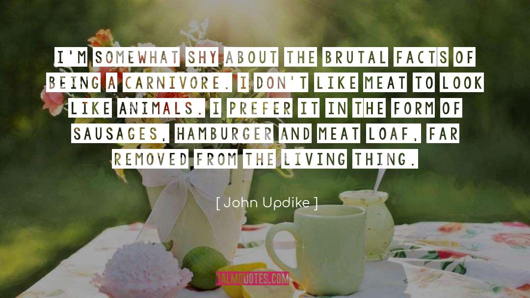 Archers Of Loaf quotes by John Updike