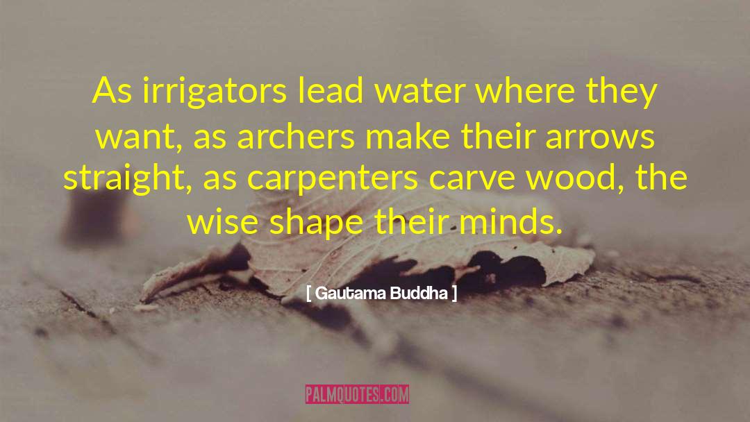 Archers quotes by Gautama Buddha