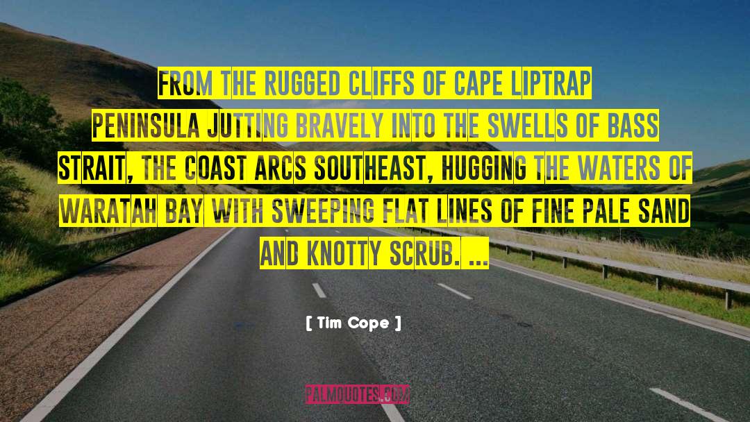 Arcs quotes by Tim Cope