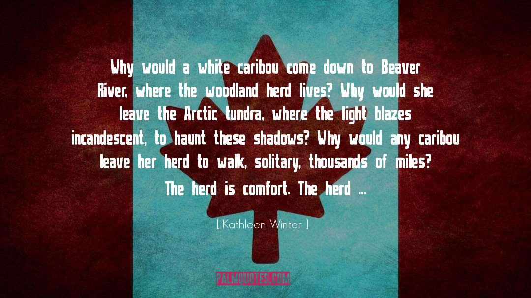 Arctic quotes by Kathleen Winter