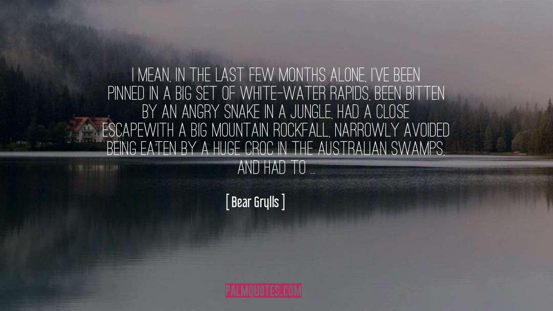 Arctic quotes by Bear Grylls