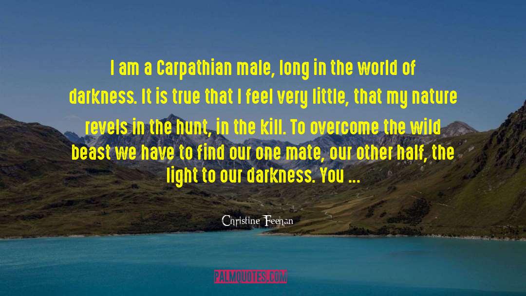 Are You With Me quotes by Christine Feehan