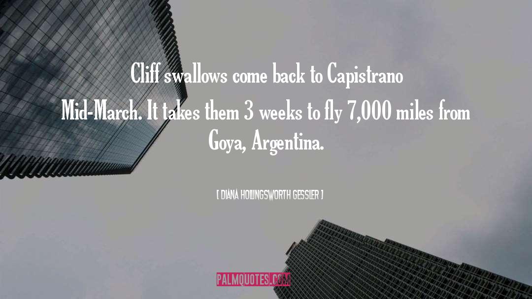 Argentina quotes by Diana Hollingsworth Gessler