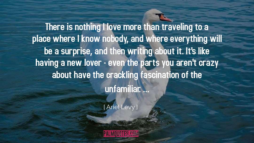 Ariel quotes by Ariel Levy