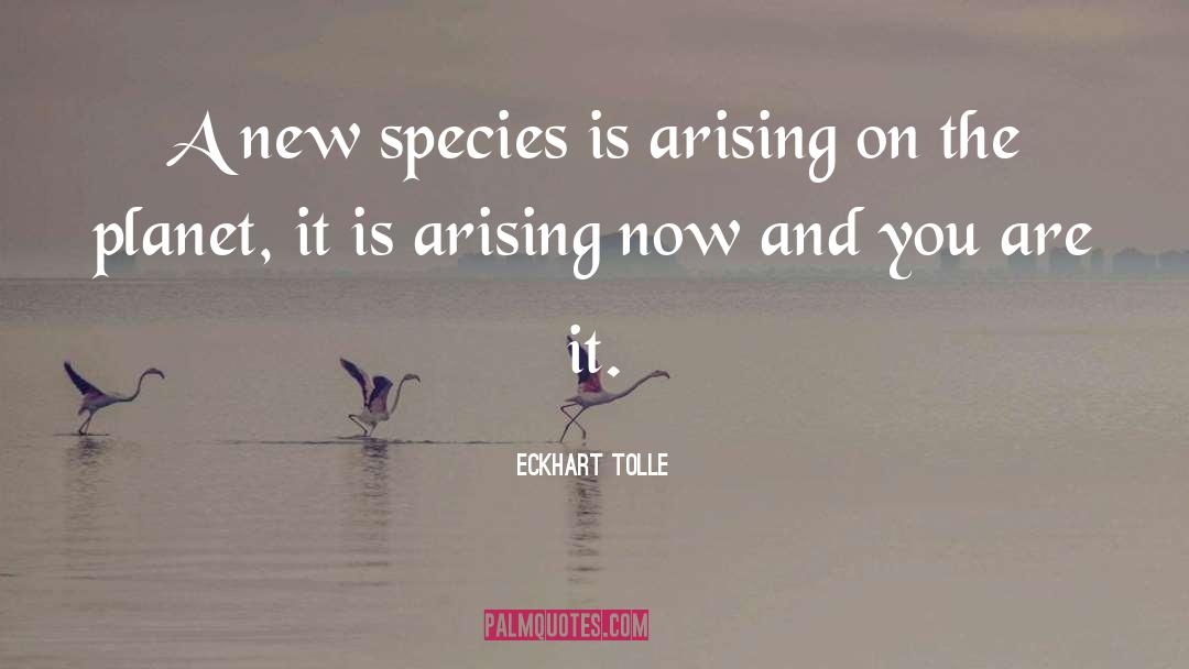 Arising Church quotes by Eckhart Tolle