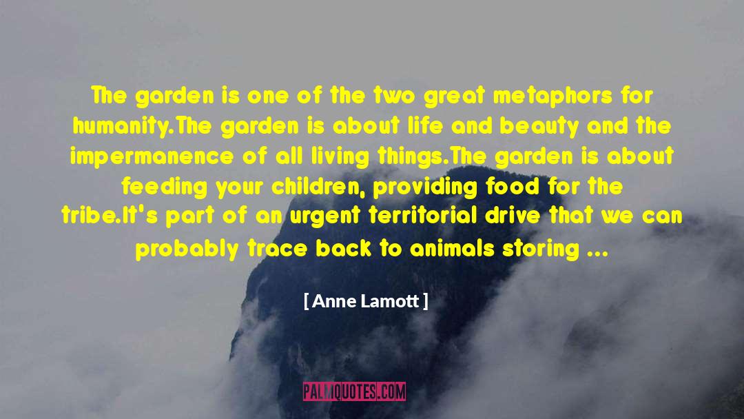 Arizona Garden quotes by Anne Lamott