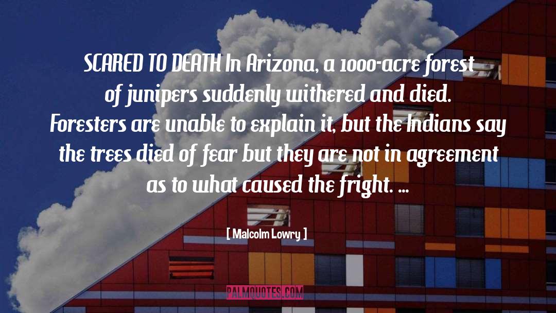 Arizona quotes by Malcolm Lowry