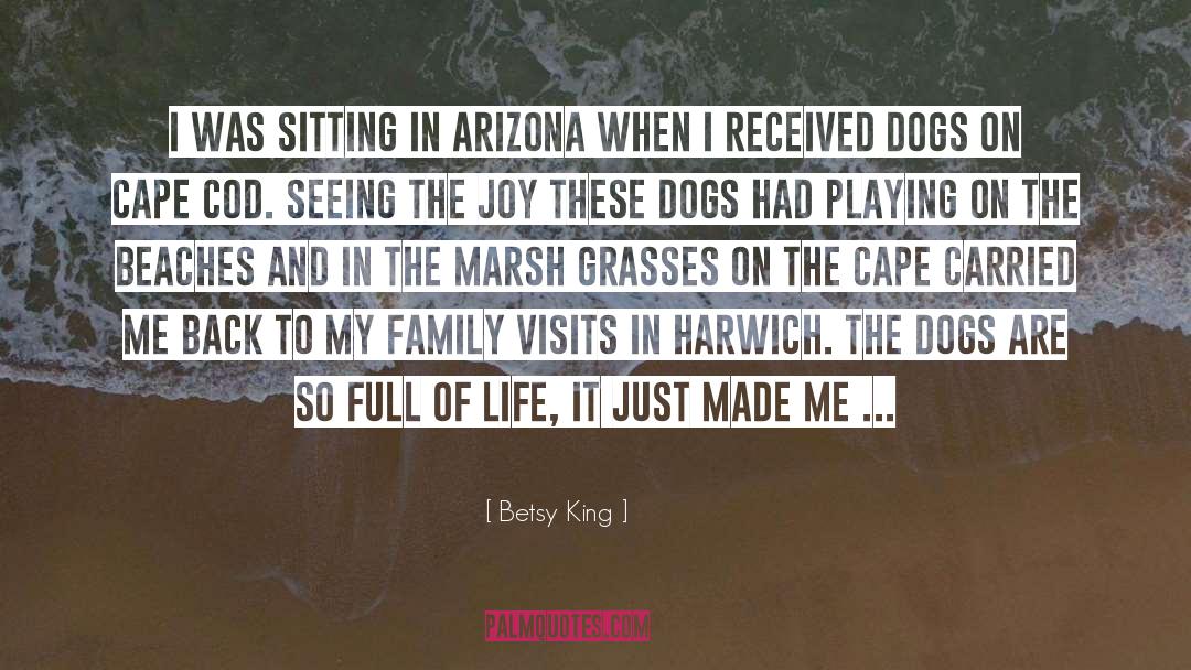 Arizona quotes by Betsy King