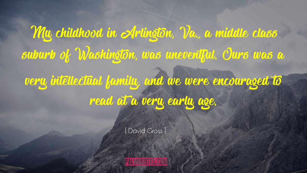 Arlington quotes by David Gross