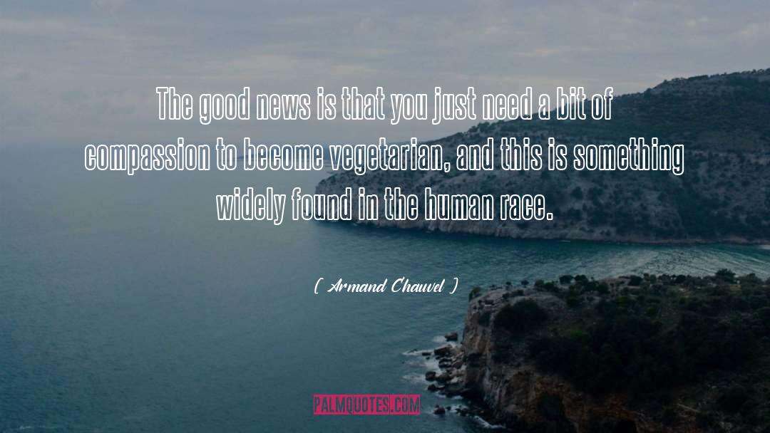 Armand Gamache quotes by Armand Chauvel