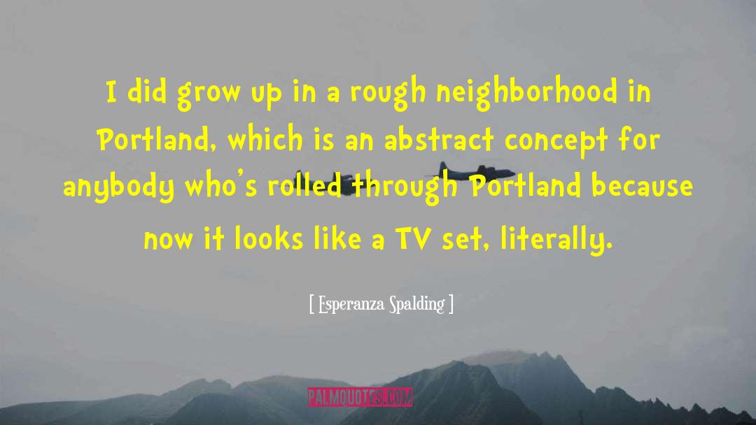 Armatage Neighborhood quotes by Esperanza Spalding