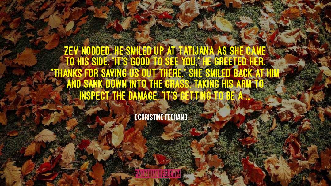 Armed To The Teeth quotes by Christine Feehan