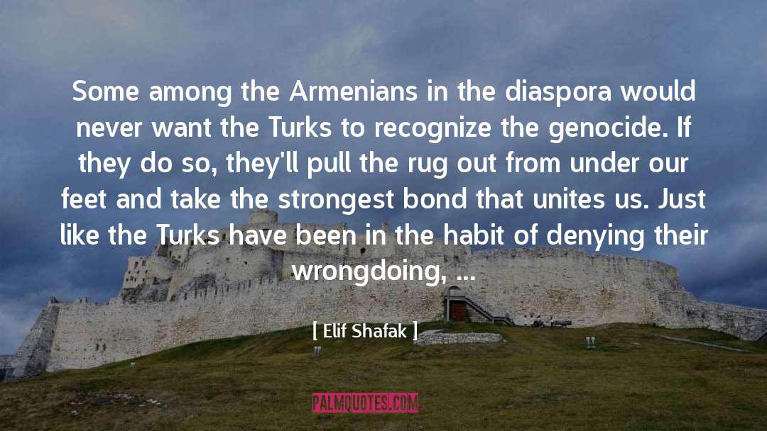 Armenians quotes by Elif Shafak