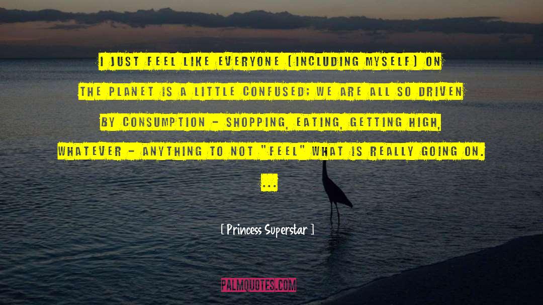 Armisen Little Superstar quotes by Princess Superstar