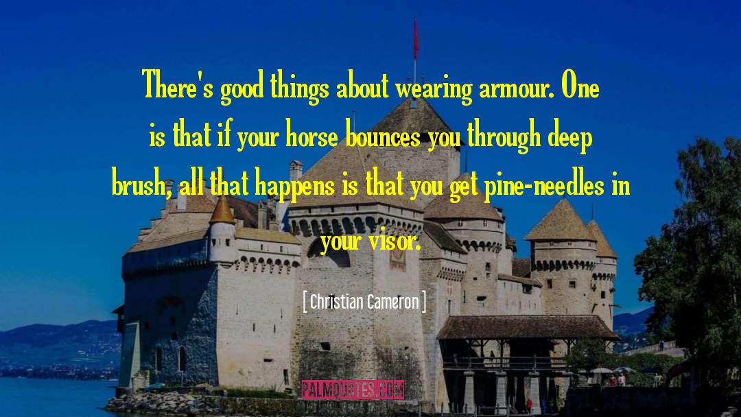Armour quotes by Christian Cameron