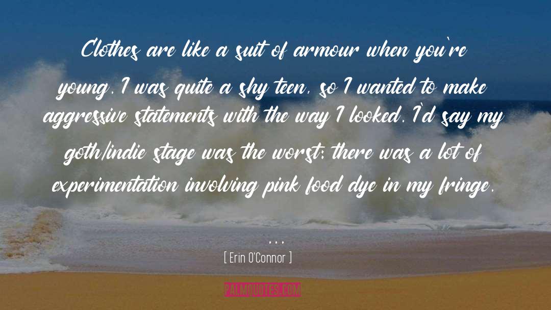 Armour quotes by Erin O'Connor