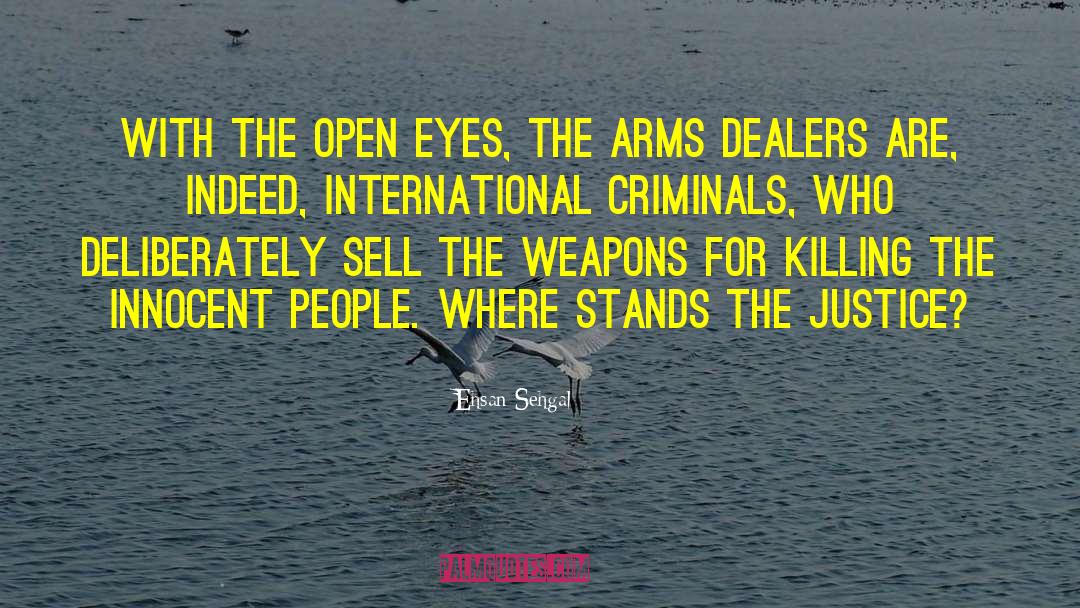 Arms Dealers quotes by Ehsan Sehgal