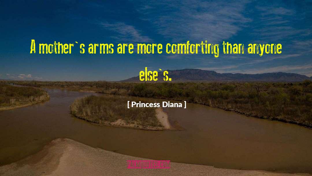 Arms Dealers quotes by Princess Diana