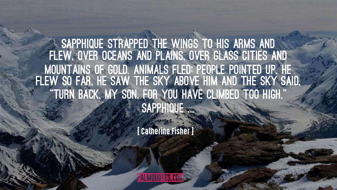 Arms quotes by Catherine Fisher