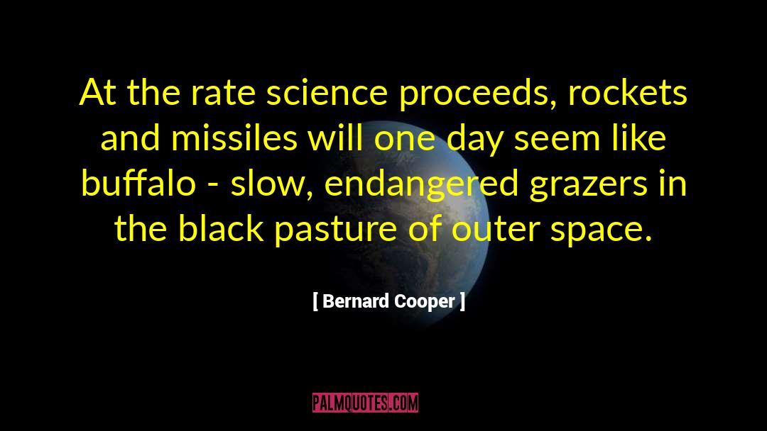 Arms Race quotes by Bernard Cooper