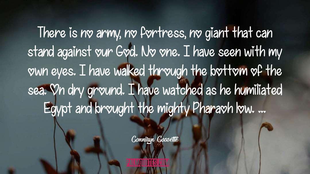 Army Rangers quotes by Connilyn Cossette