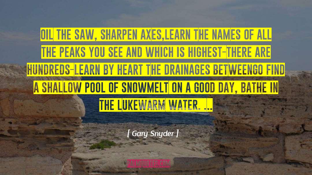 Arnberger Oil quotes by Gary Snyder