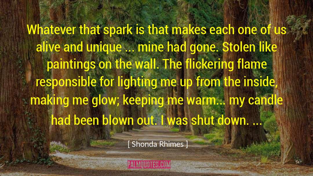 Arnegger Paintings quotes by Shonda Rhimes