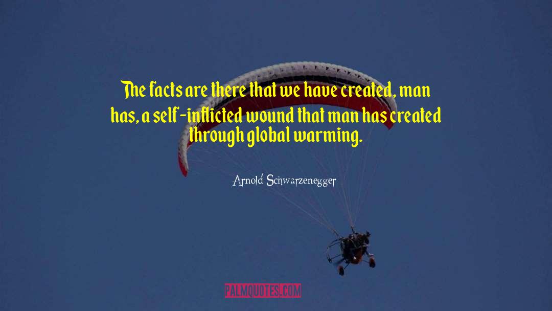 Arnold J Toynbee quotes by Arnold Schwarzenegger