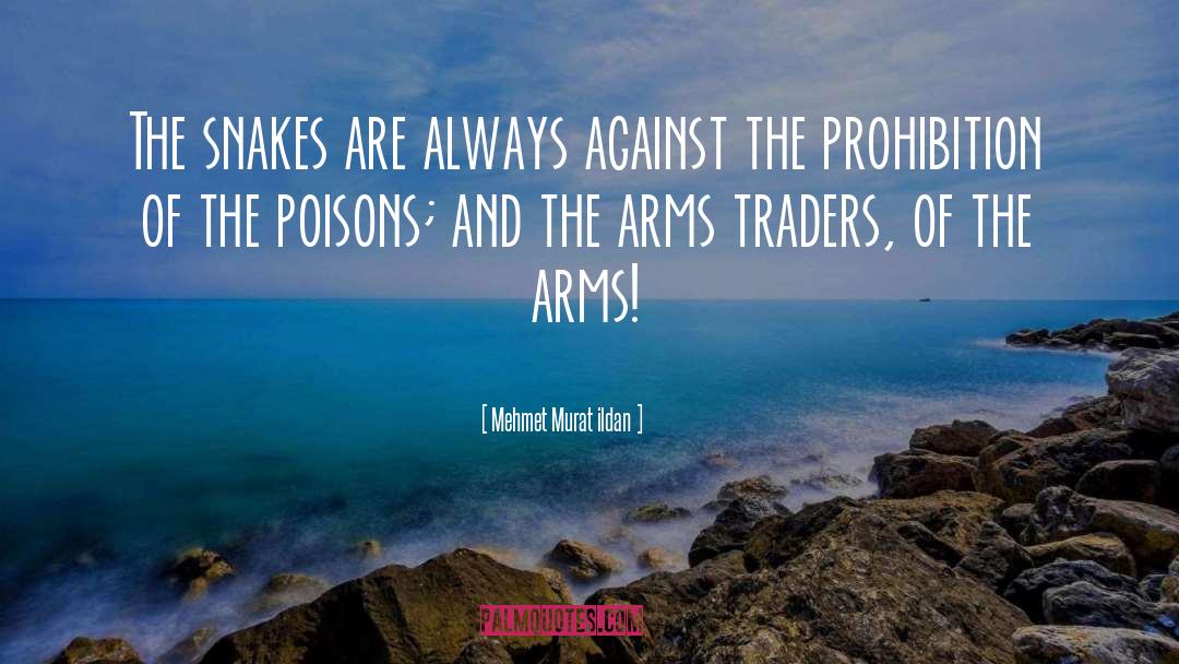 Arnzen Arms quotes by Mehmet Murat Ildan
