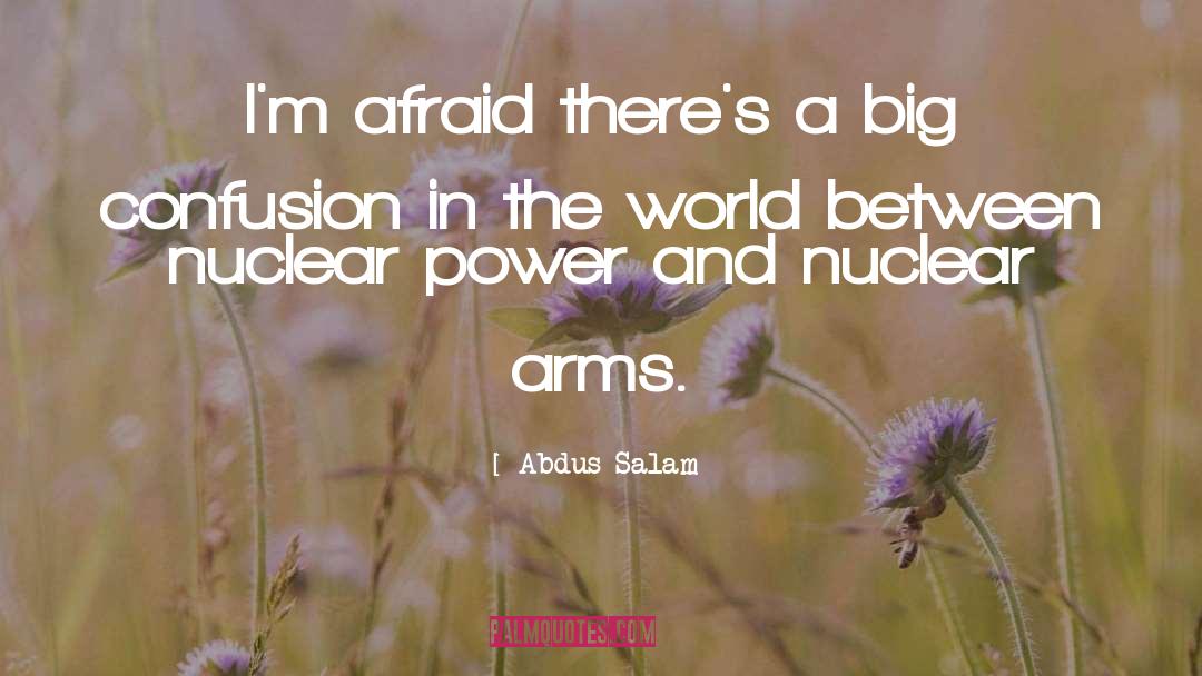 Arnzen Arms quotes by Abdus Salam