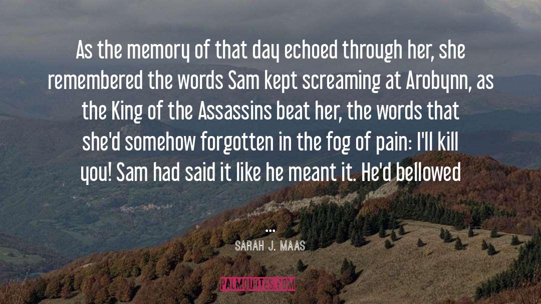 Arobynn quotes by Sarah J. Maas