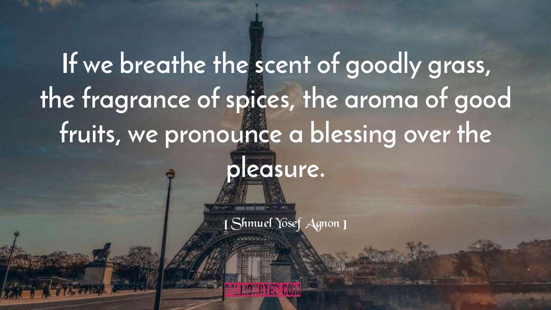 Aroma quotes by Shmuel Yosef Agnon