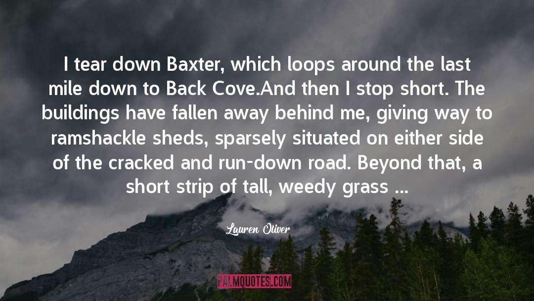 Around The Bend quotes by Lauren Oliver