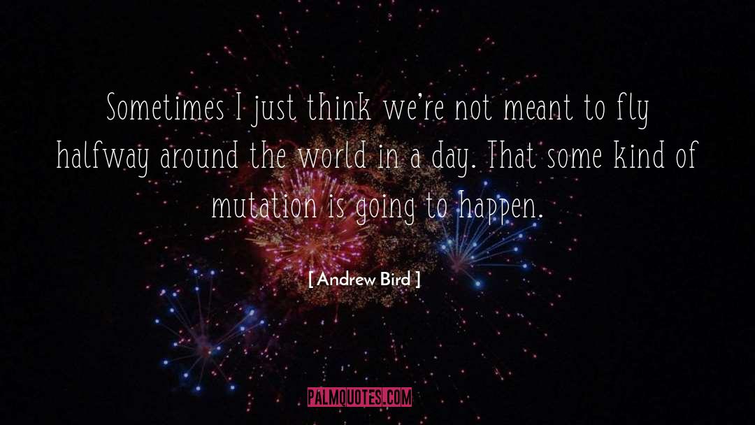 Around The World quotes by Andrew Bird