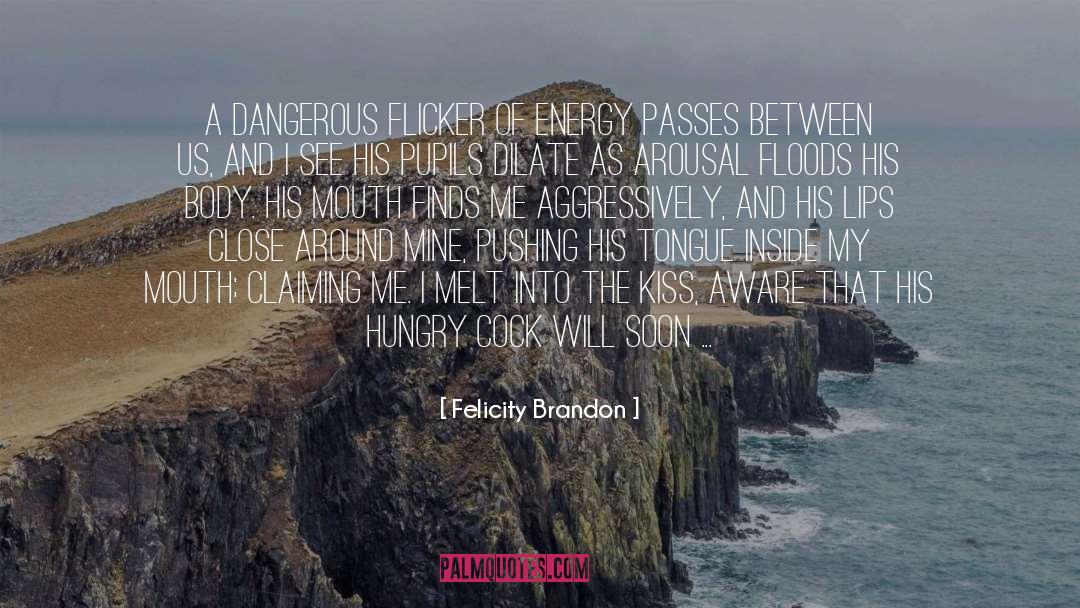 Arousal quotes by Felicity Brandon