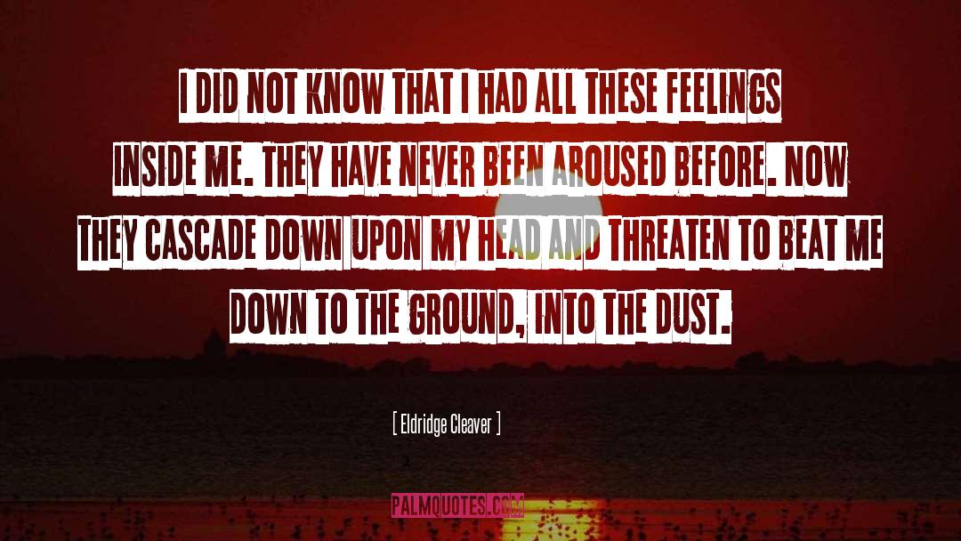 Aroused quotes by Eldridge Cleaver