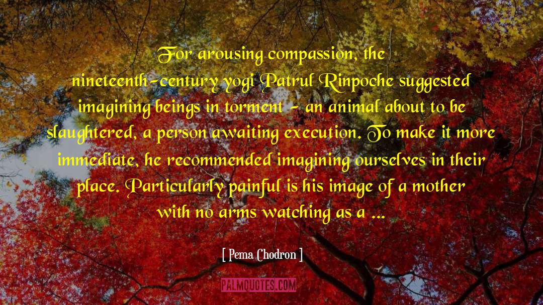 Arousing quotes by Pema Chodron