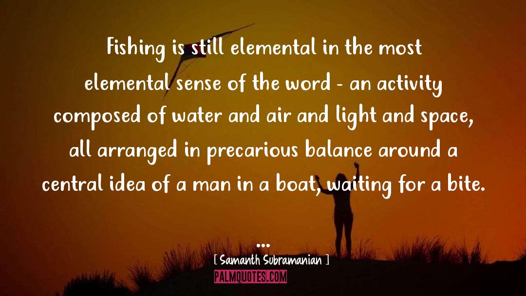 Arranged quotes by Samanth Subramanian