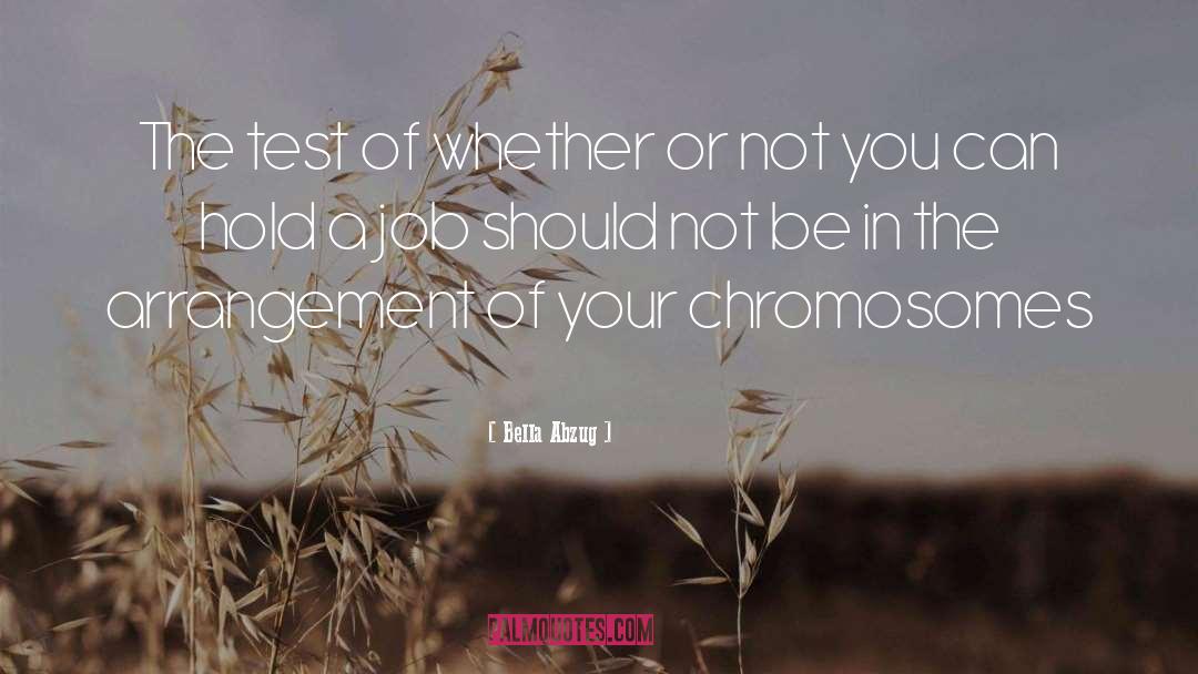 Arrangement quotes by Bella Abzug