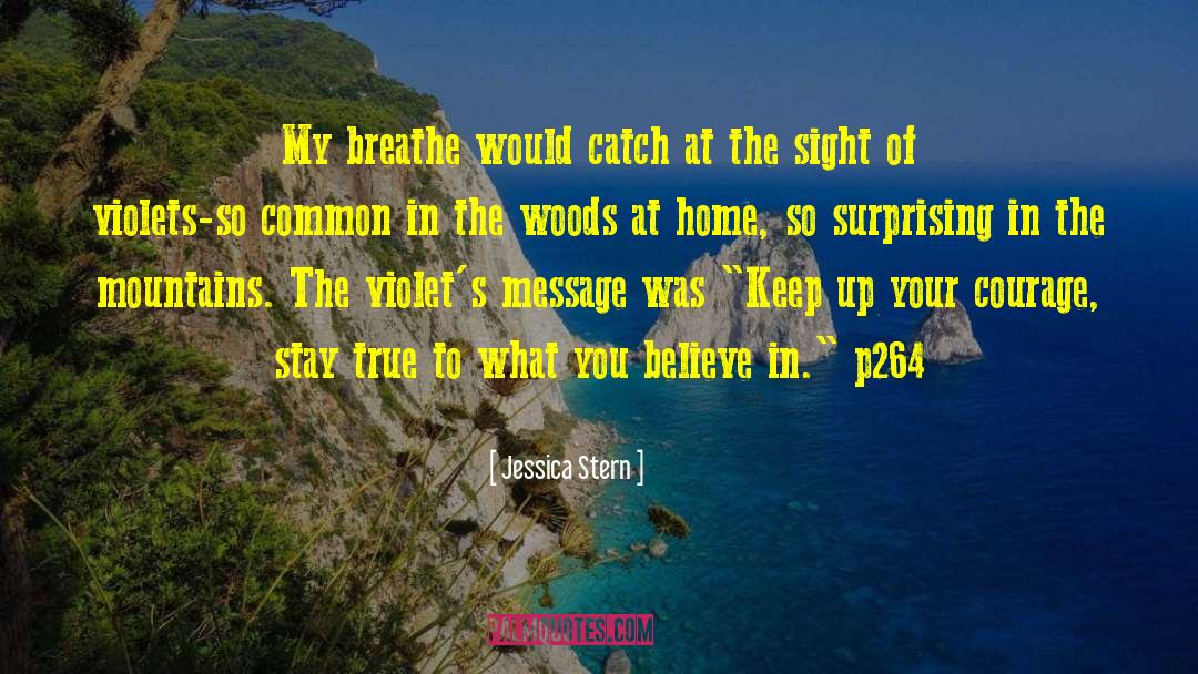 Arrastra Mountain quotes by Jessica Stern