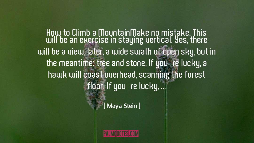 Arrastra Mountain quotes by Maya Stein